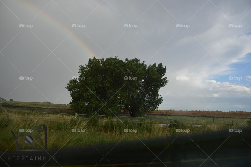 Landscape, Storm, Tree, Rainbow, Rain