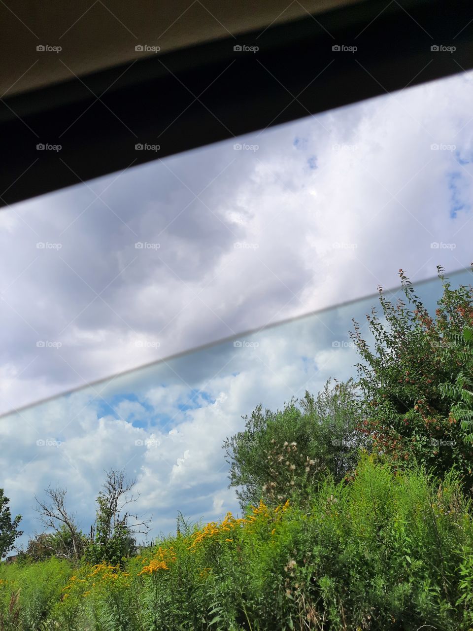 summer meadow and sky through half open side window