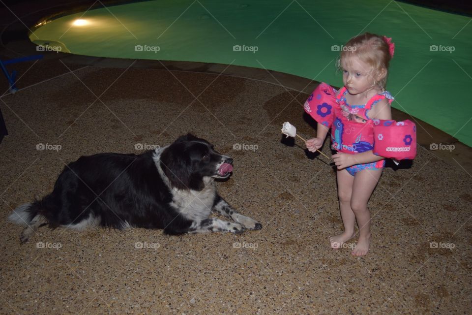 Dog wants girl's food. Pet licking her lips looking at a snack