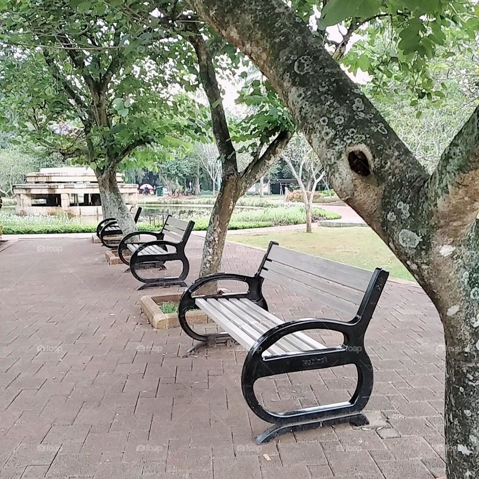 Public park with chairs and trees