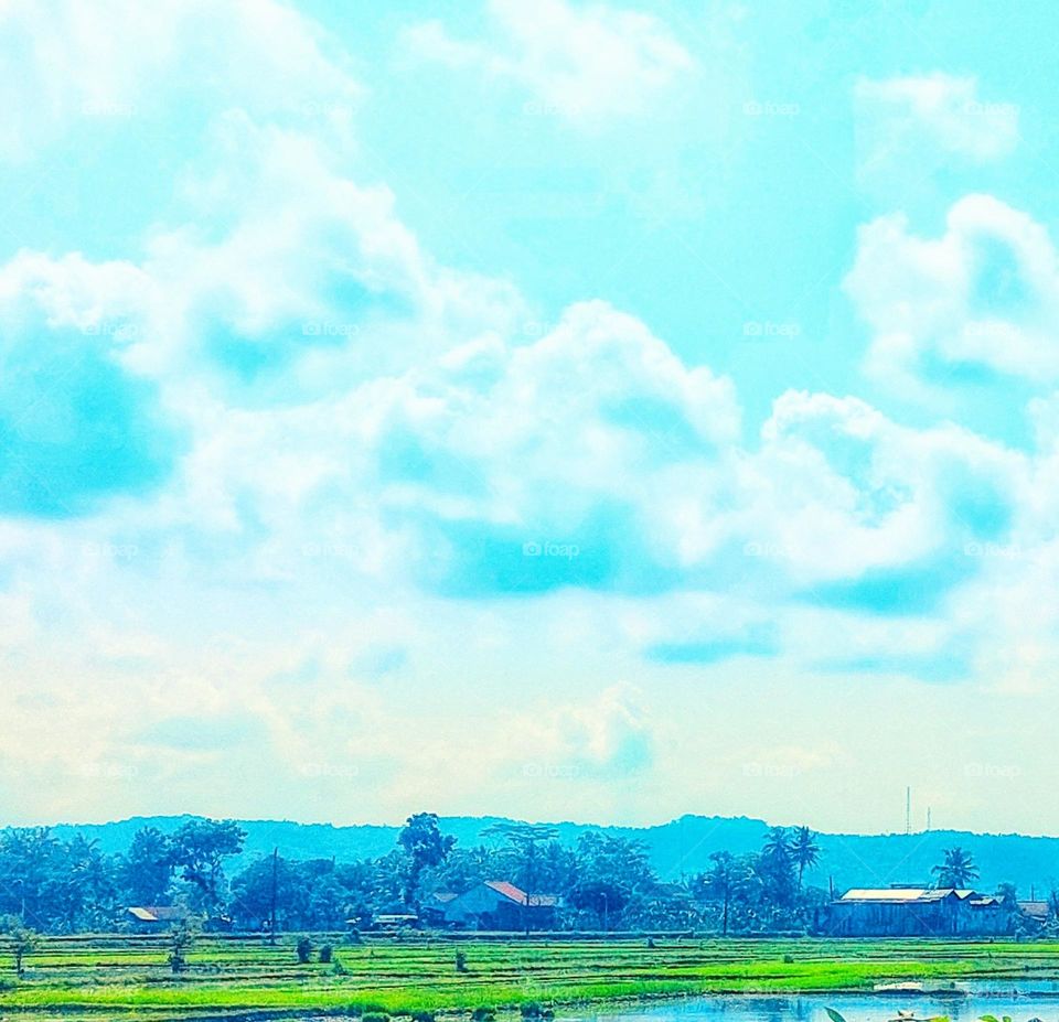 beautiful nature scenery