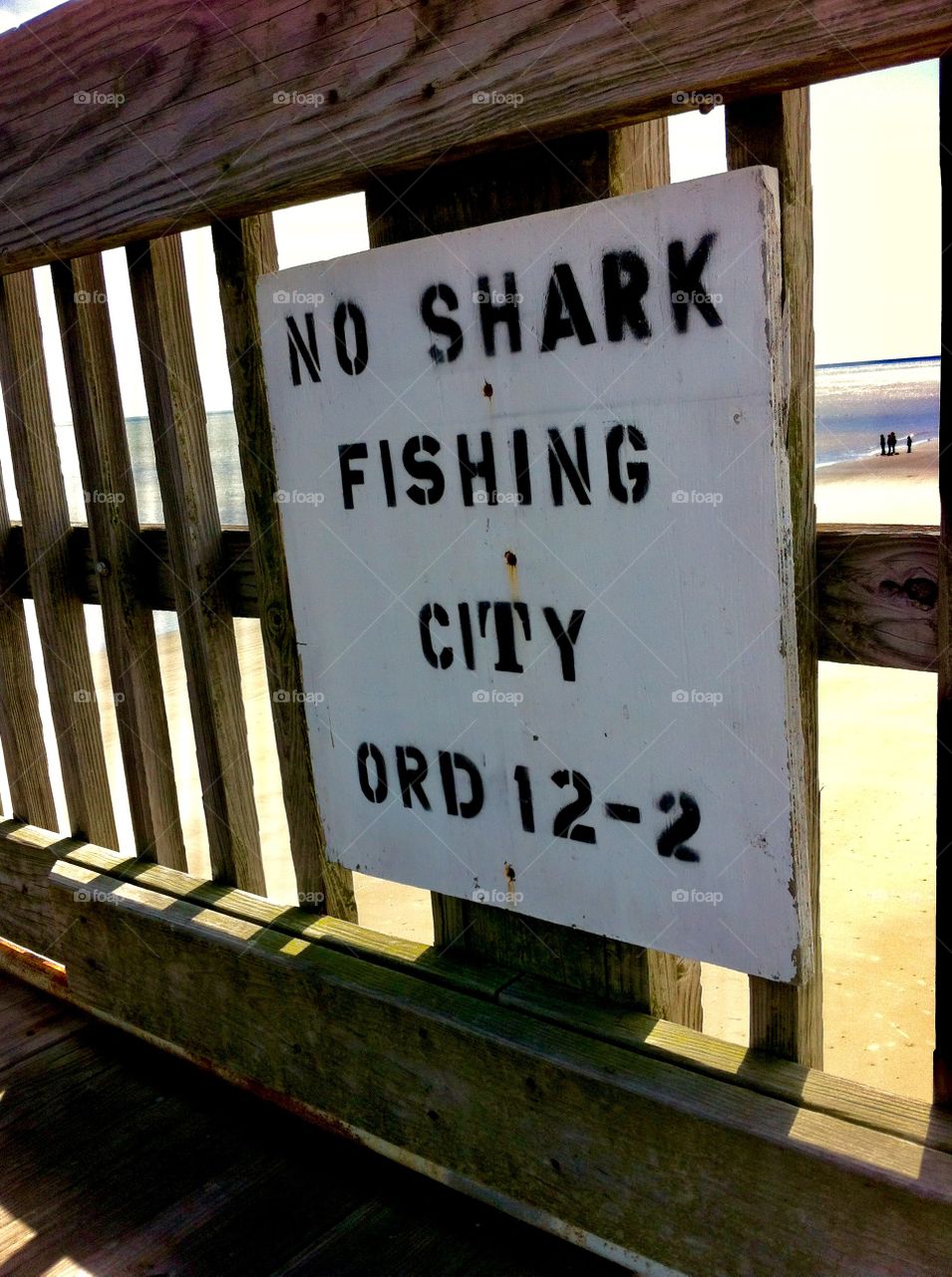 Fishing ordinance on Tybee Island