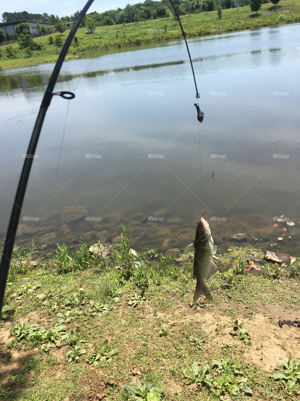 A perfect day fishing