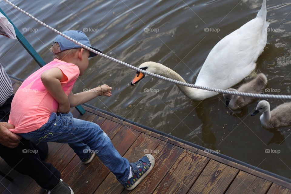 Child and swan