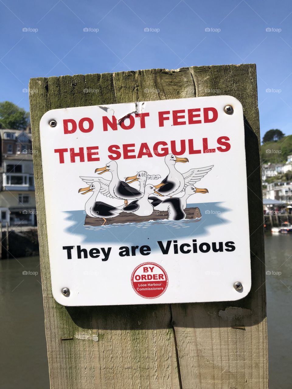 Hilarious signage ….. beware of vicious seagulls in Cornwall…..they will eat your chips and pasties! 