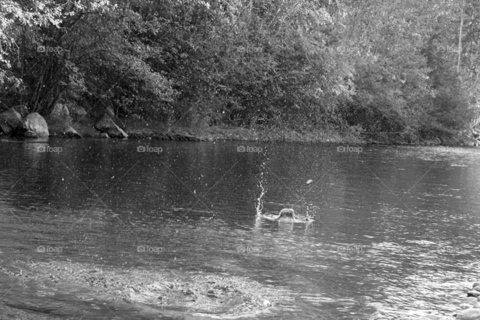 skipping rocks