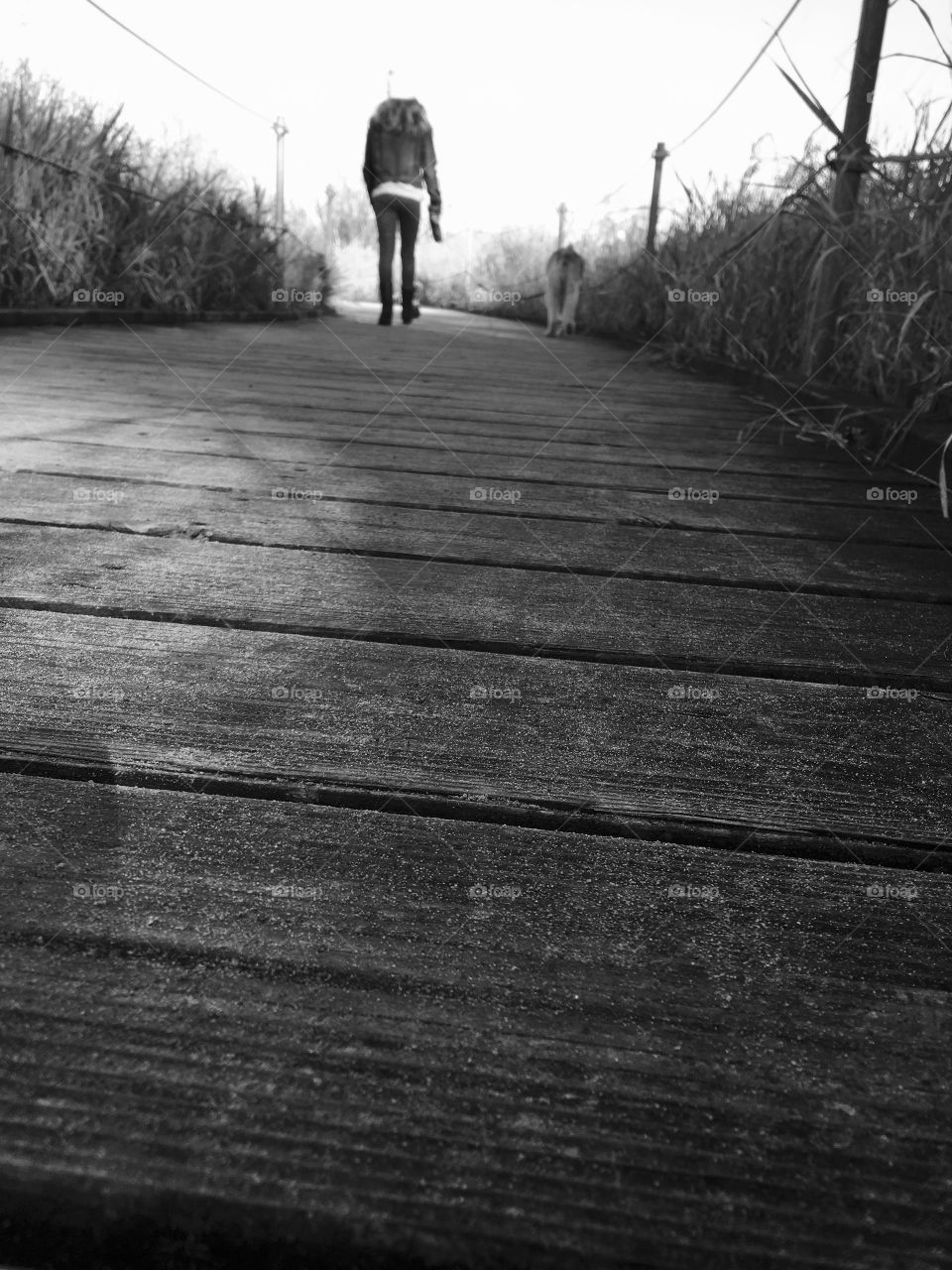 Boardwalk view of my daughter on a walk