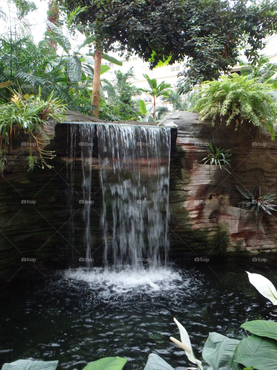 Gaylord Palms Waterfall