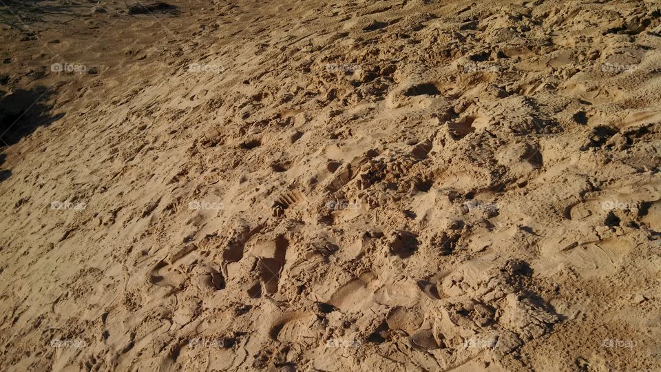 Millions of footprints over the year have crossed the Sleeping Bear Dunes