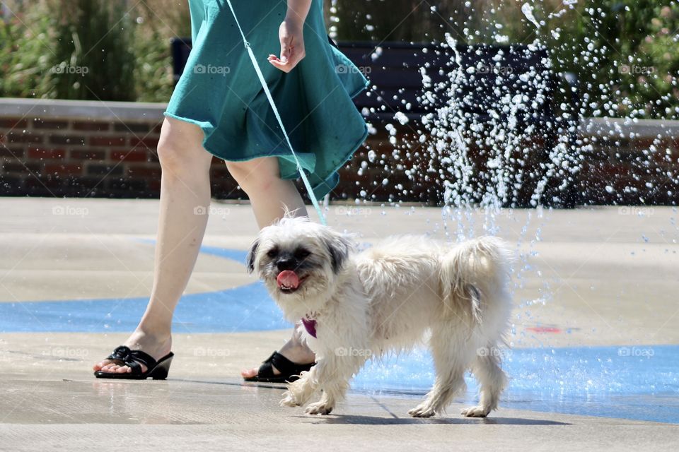Splash! Playing in the Sprinklers