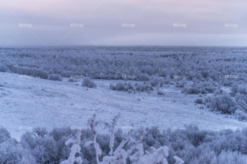 mountain view location