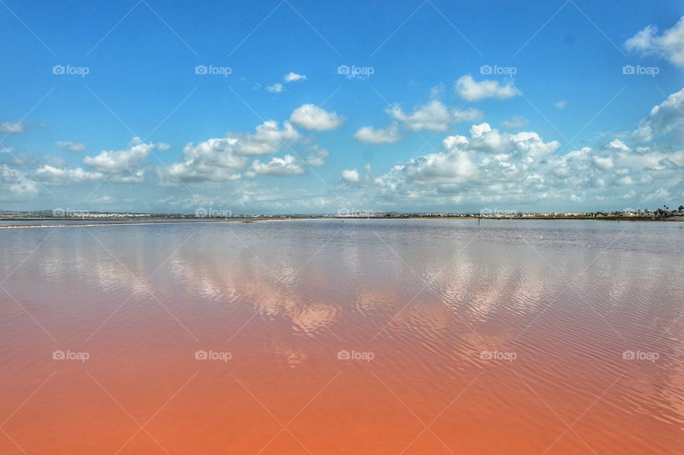 Las Salinas de Torrevieja (Torrevieja - Spain)