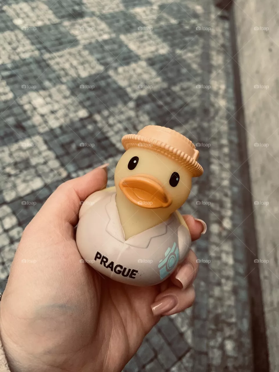 Duck 