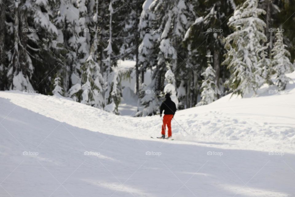 Skier on the slopes 