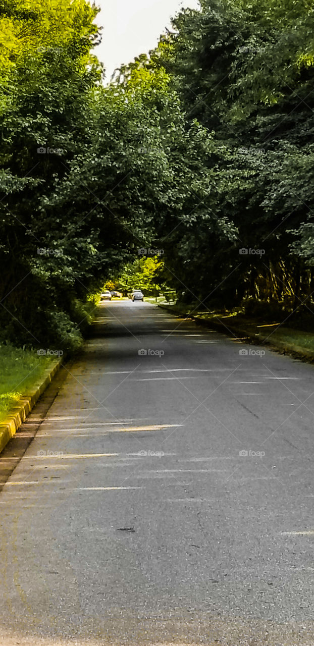 roadway to light or dark