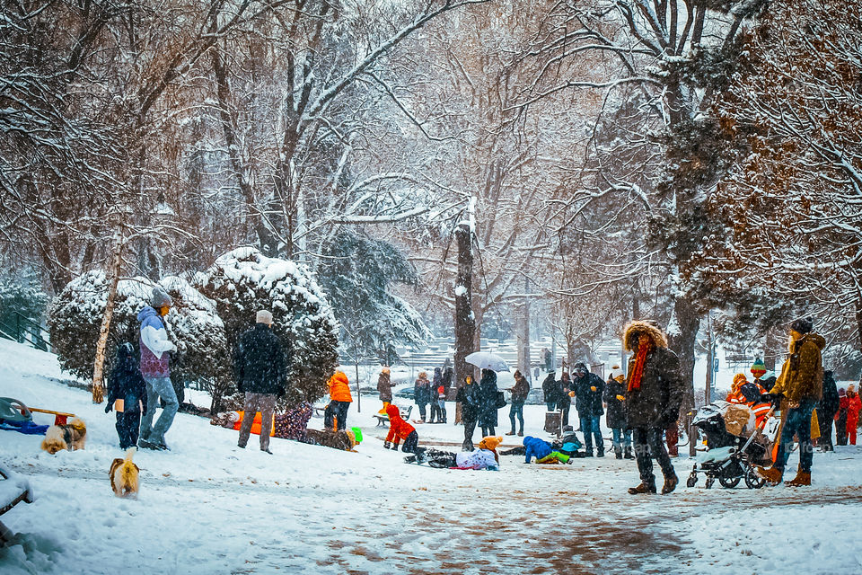 A winter sledding on the first snow