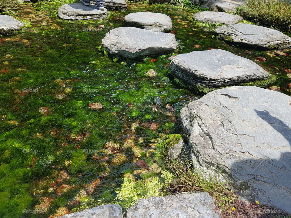 Rocks are placed strategically to allow crossing across the water.