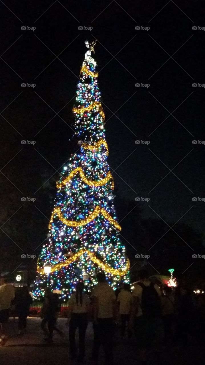 Christmas at Epcot