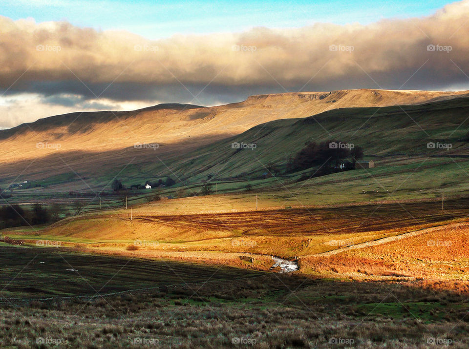 Scenics view of nature