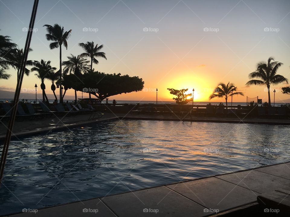 Pool Sunset in Hawaii