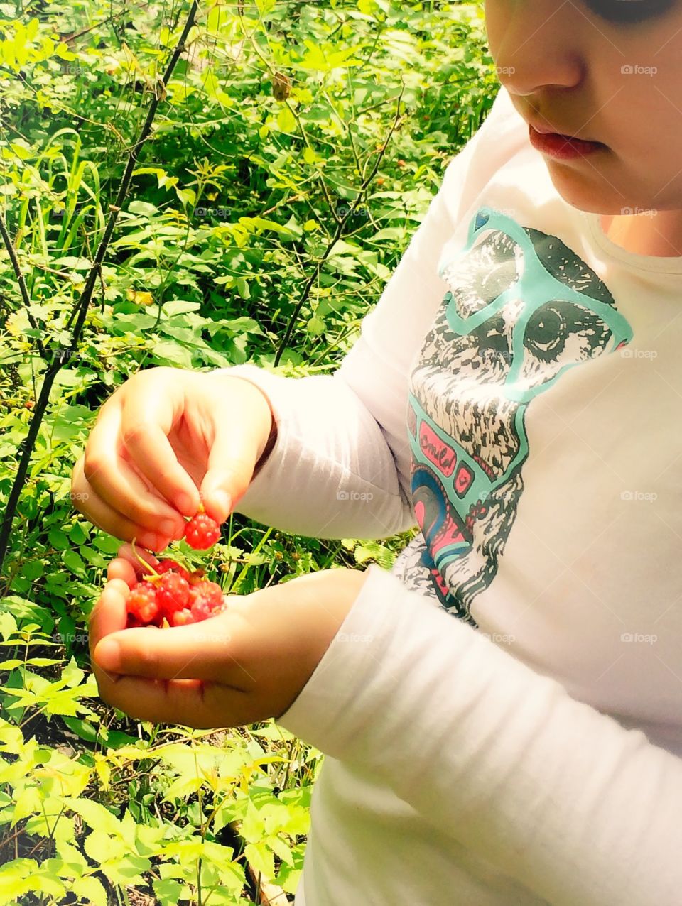 Girl Holding Rasperries