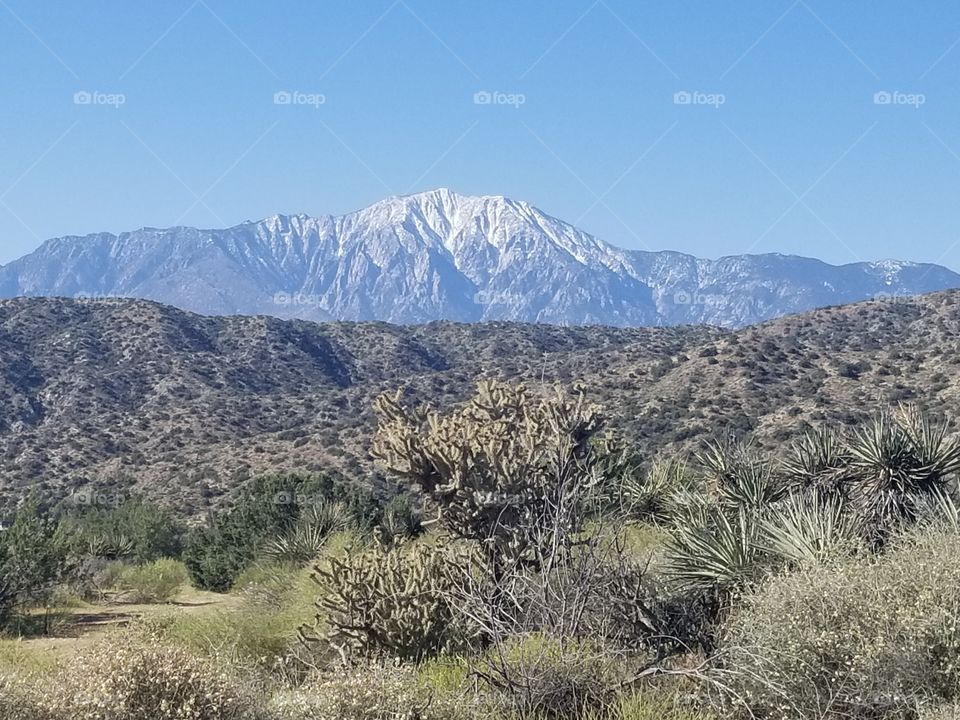 Mt. San Jacinto part II