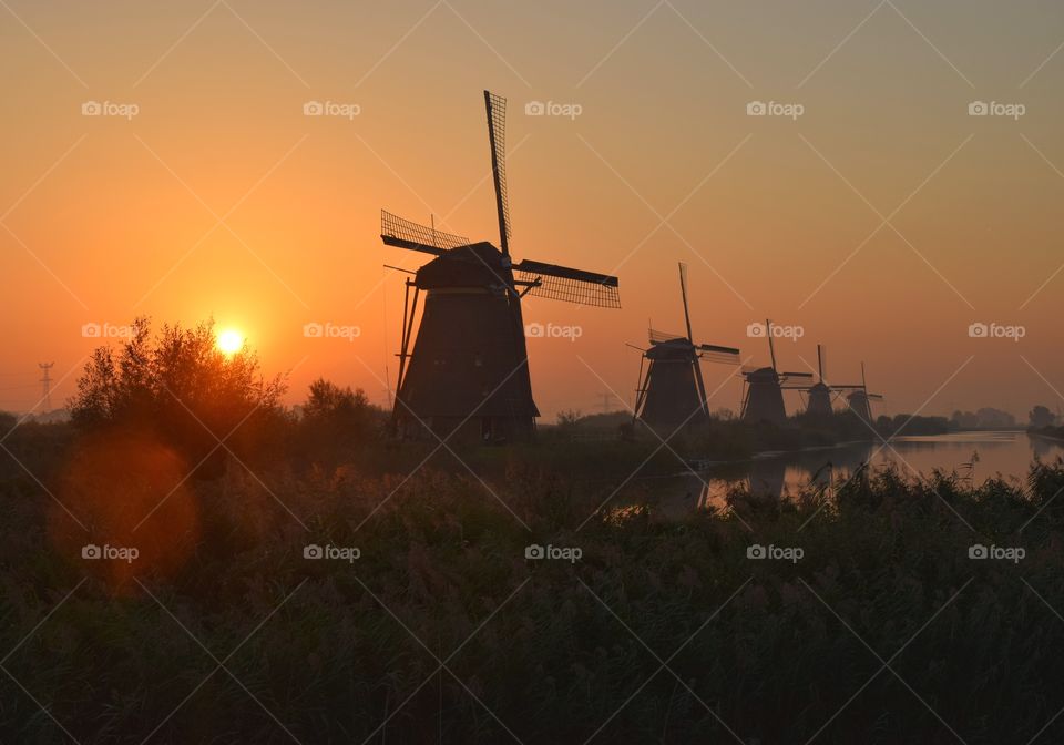 Scenic view of dutch landscape with windmills in Kinderdijk at the sunrise. 