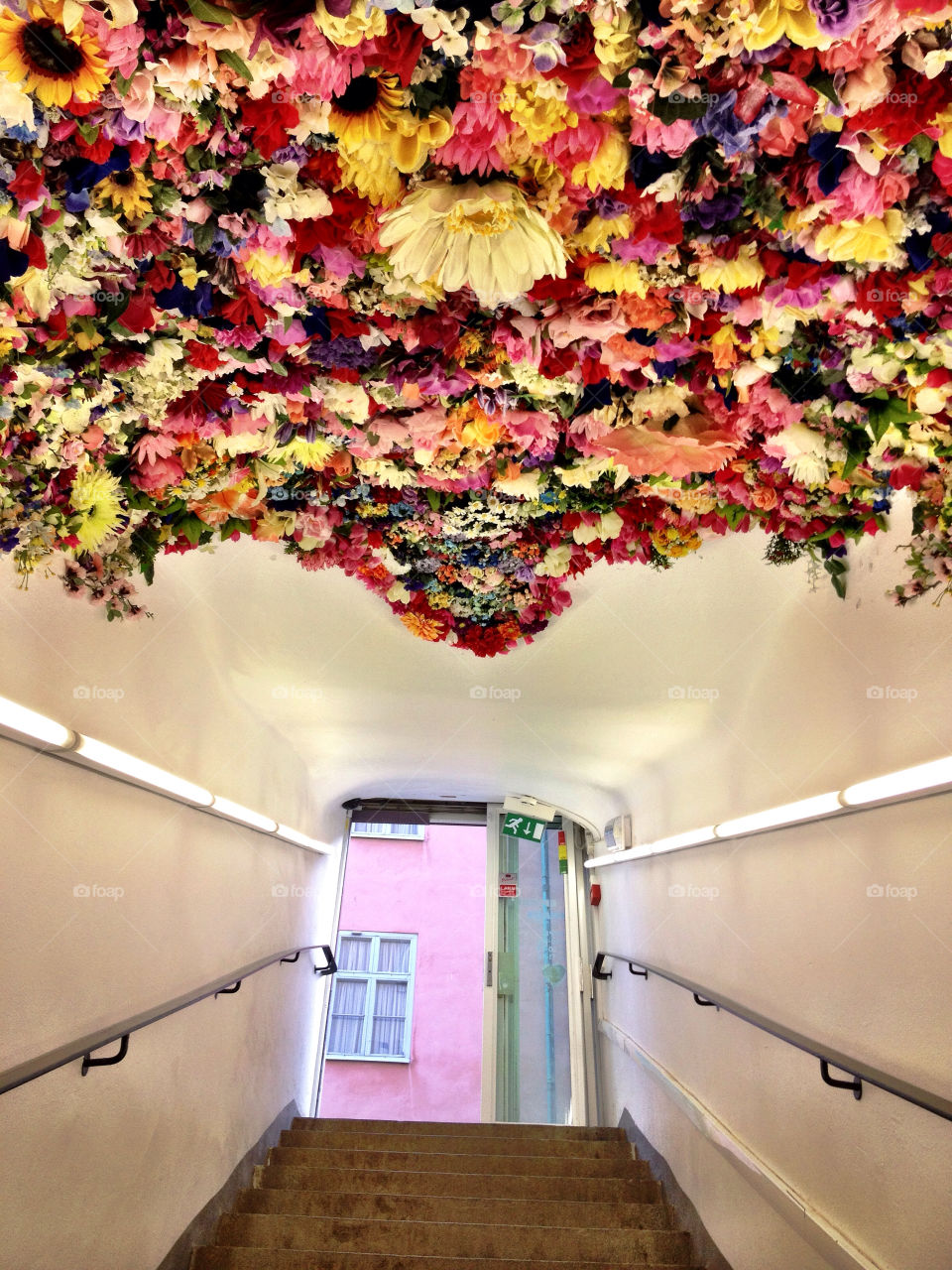 flowers art door stair by carina71