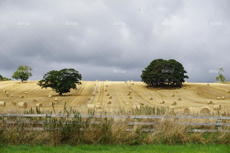 Beautiful Hay Meadow with storm clouds above 