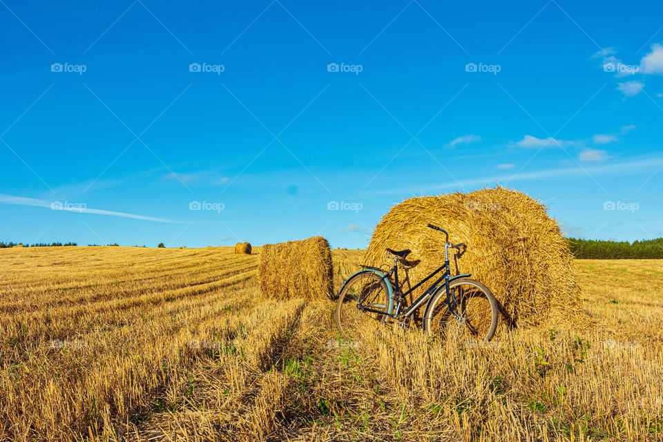 Bycicle in wheat field