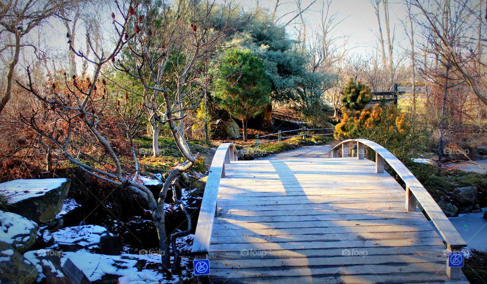 This is a picture of a bridge going over a small pond in the winter at the Creation Museum in Kentucky.