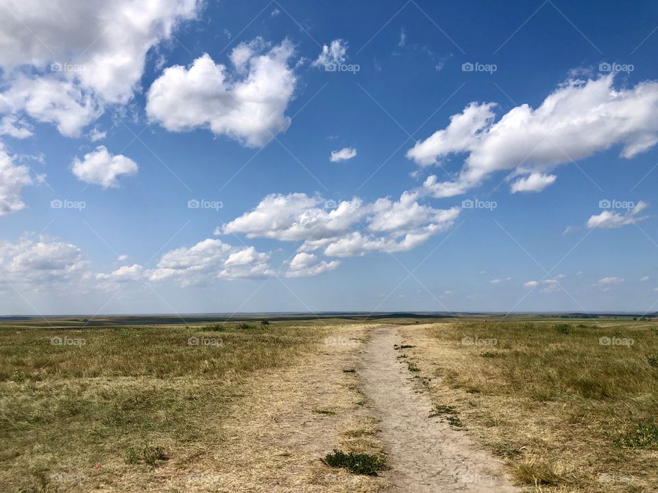 Dirt path through open grass land