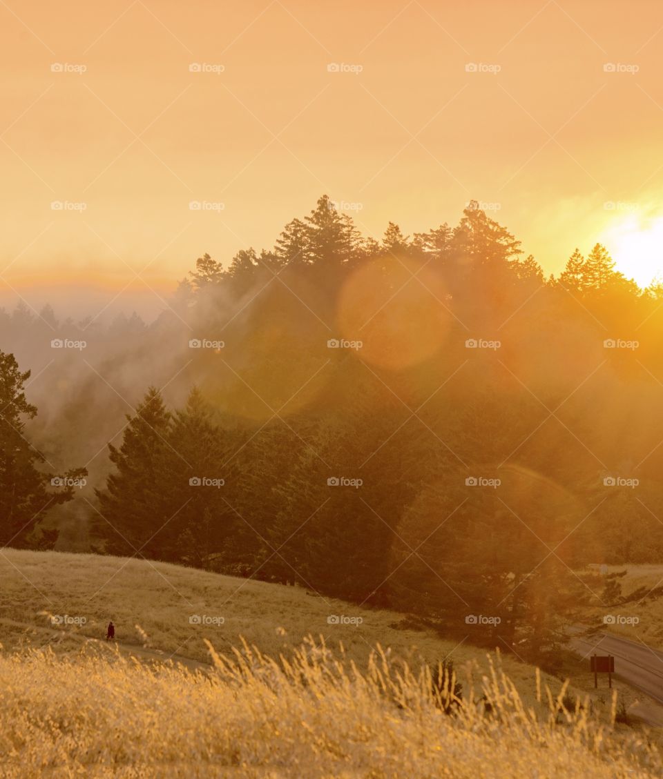 Above the clouds ☁️ 