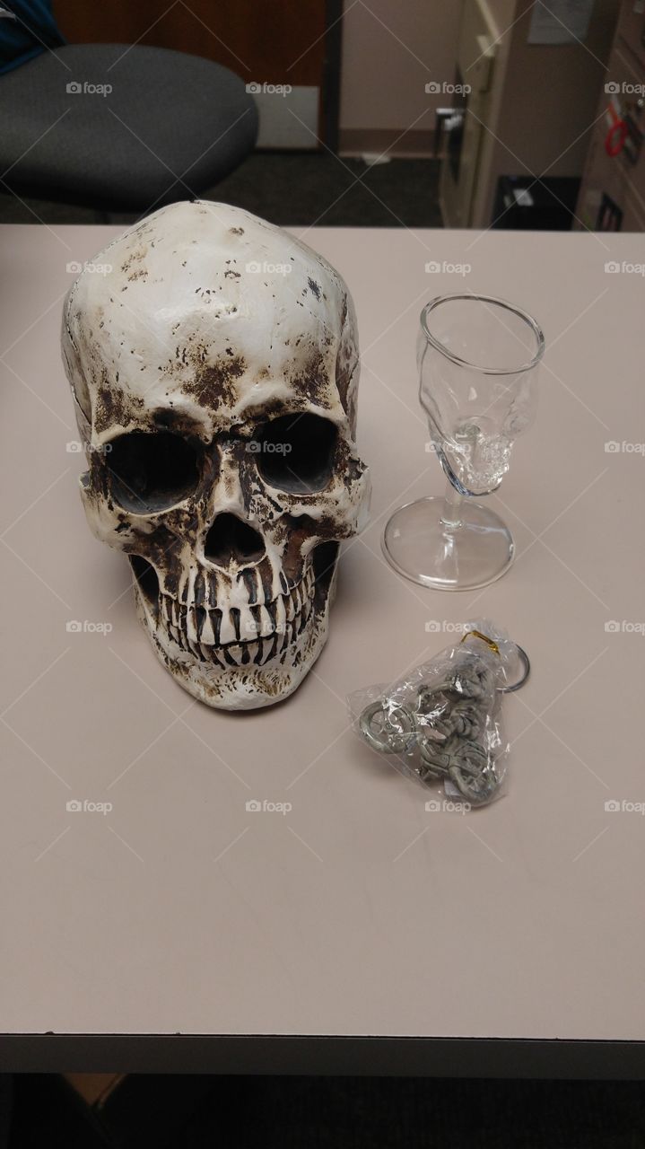 Skull, Frame, Bone, Horror, Halloween