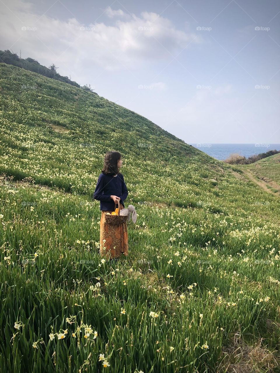 Daffodils by the seaside