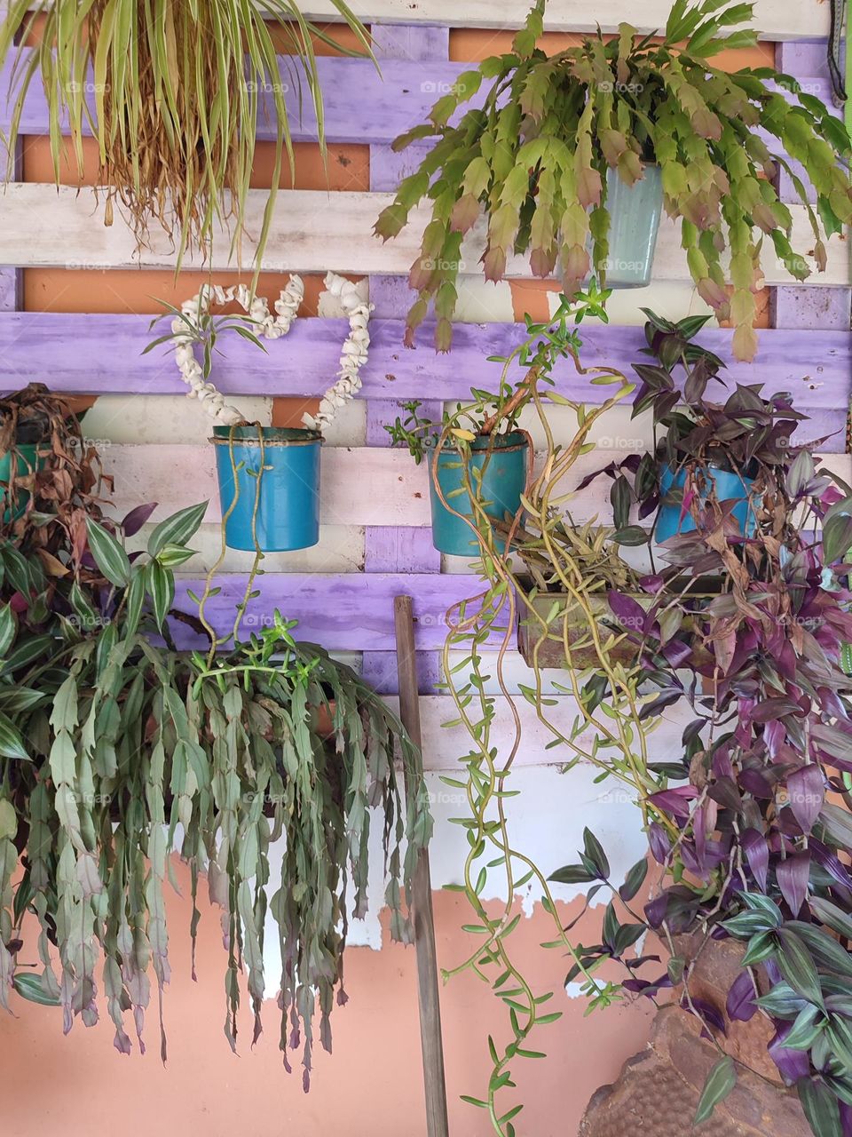 Wall art with pot plants