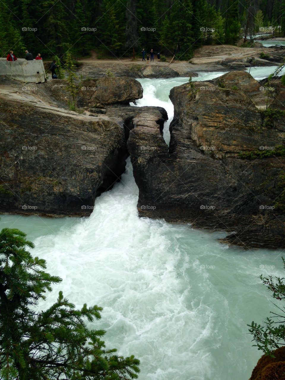 Natural bridge 