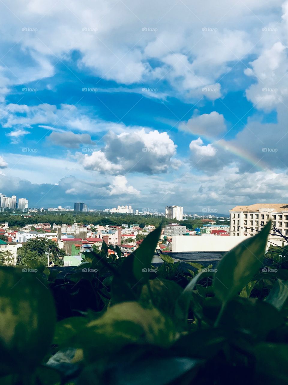 Morning View, Manila Philippines 