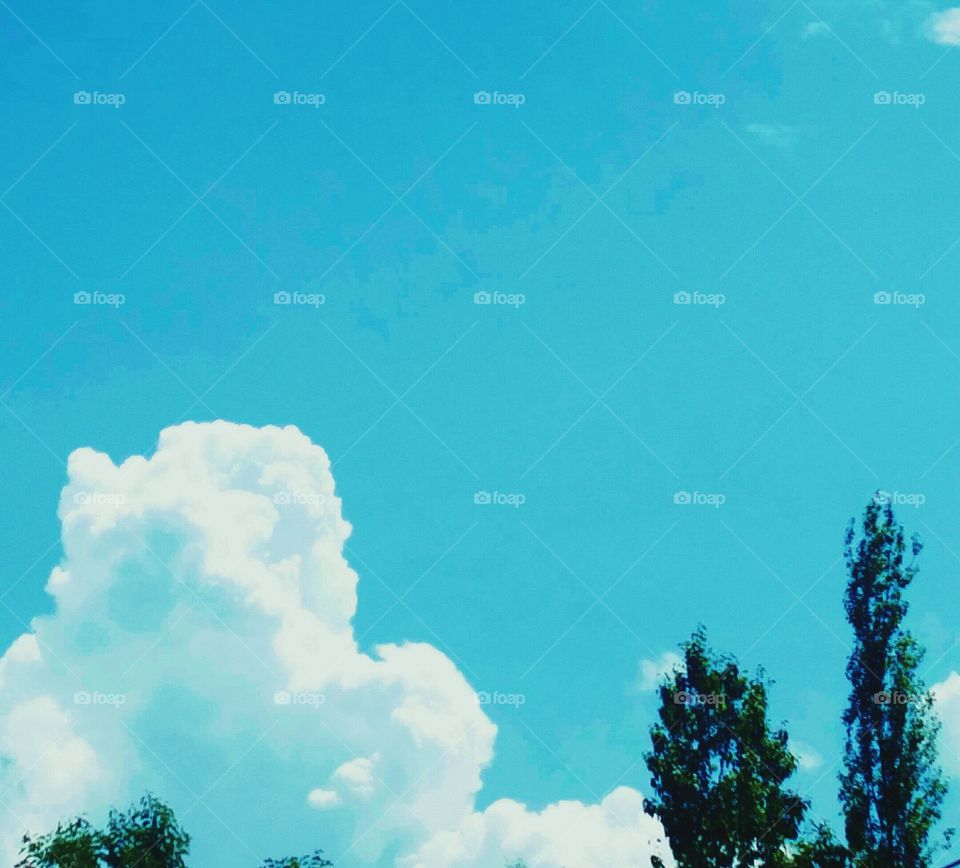 beautiful sky blossoming natural
📸 Muneeb bhat