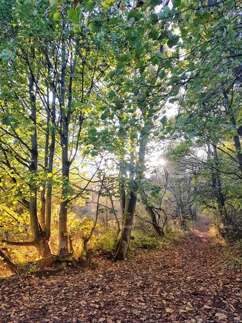 eston hills on a sunny afternoon