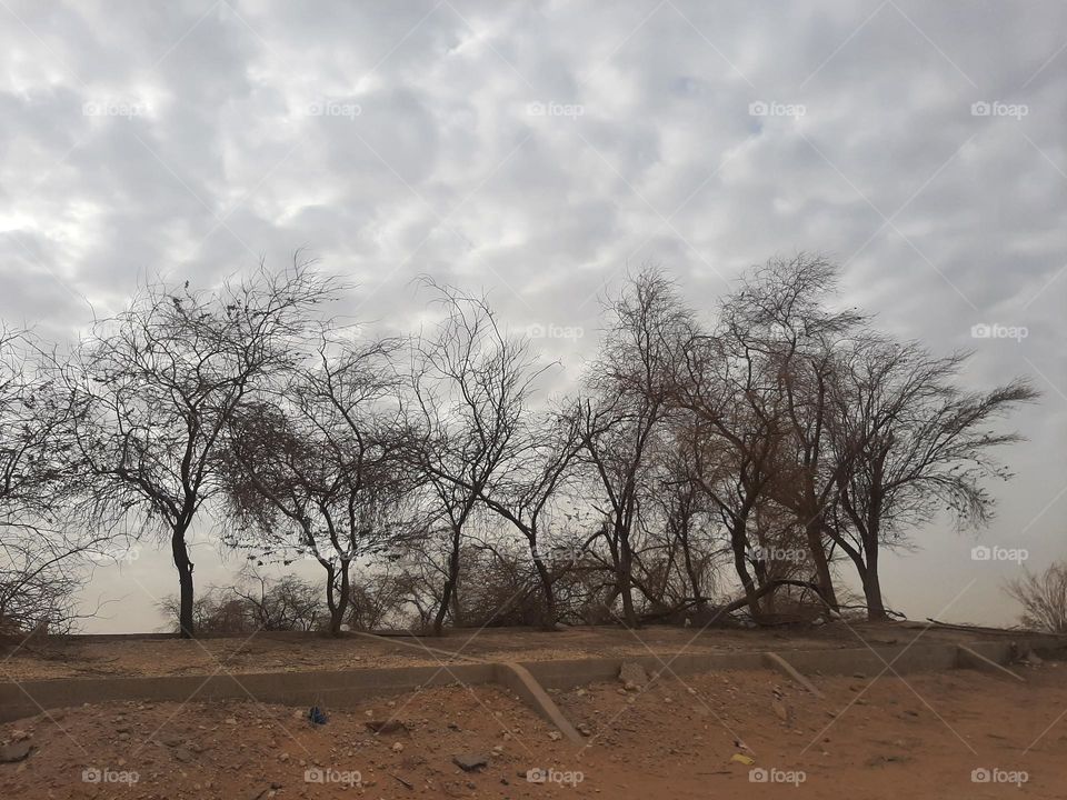 Please make me happy, I am poor, I need your help with support