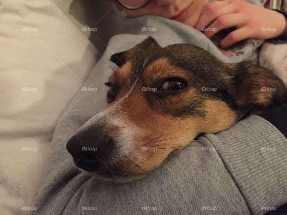 A girl holding a sleepy dog