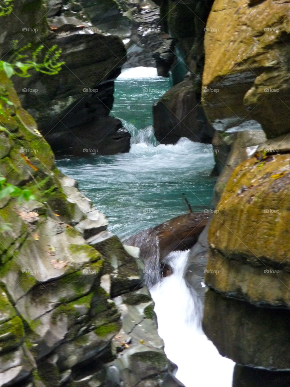 Water and Stones