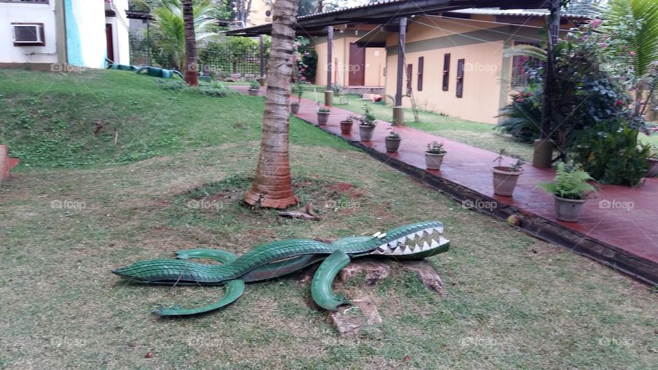 Crocodile in the Garden
