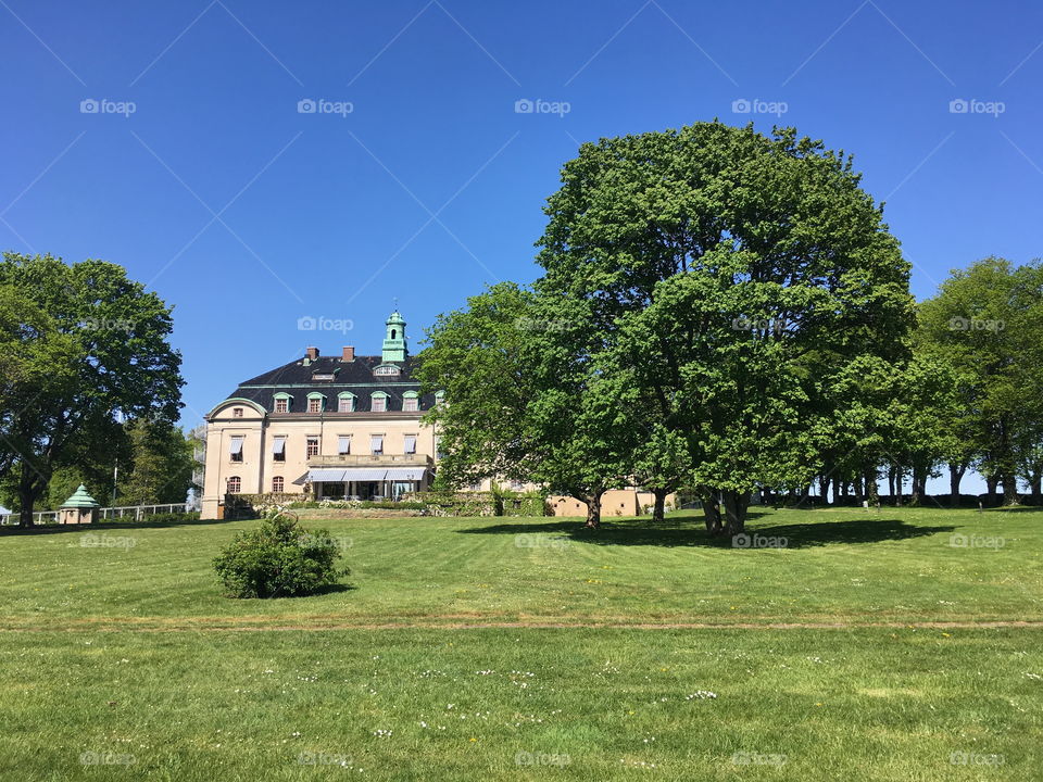 Castle and garden