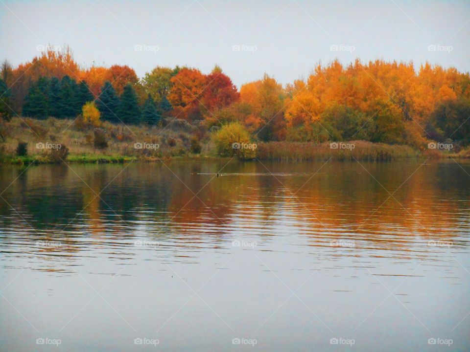 autumn lake