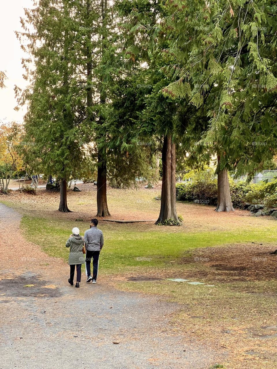 Couple walks together in autumn park