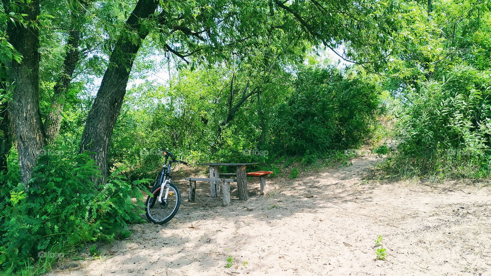 wild beach on the Dnieper River