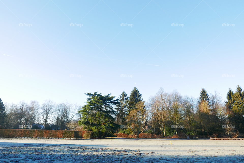 Middelheim park in Antwerp