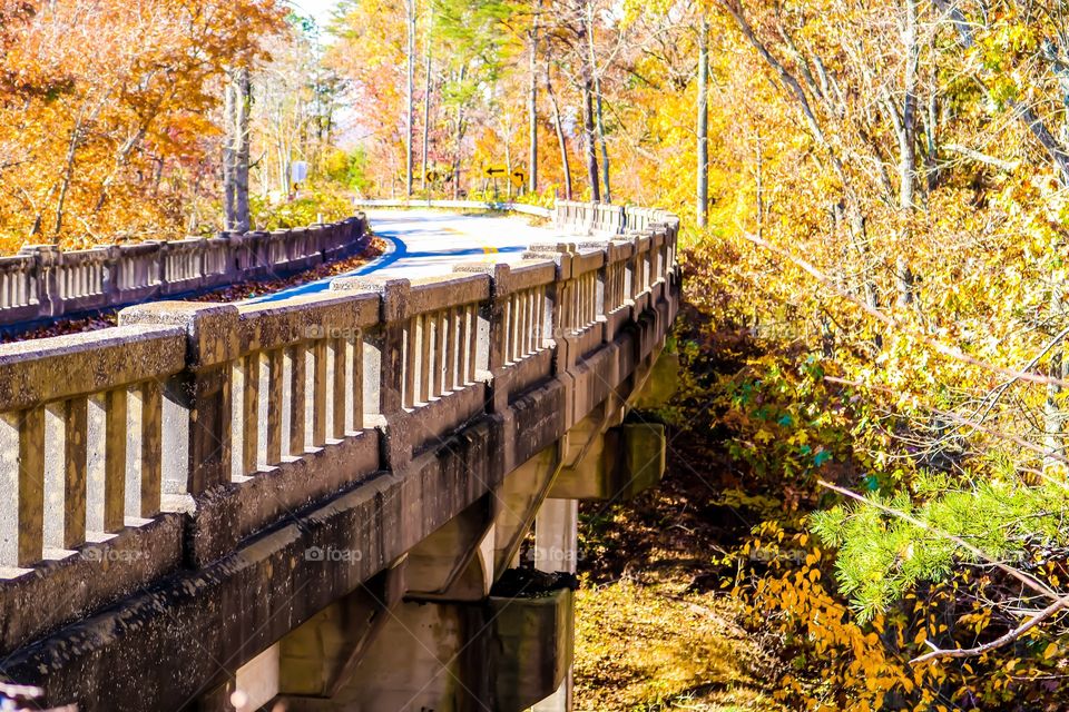 Bridge on a fall sunny day